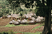 Village. Benin.