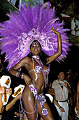 Carnival parade. Rio de Janeiro. Brazil