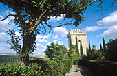 Castle, Alarcón. Cuenca province, Castilla-La Mancha, Spain
