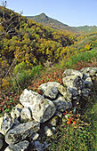 Fontaninas river valley. Tejedo del Sil, León province, Castilla-León, Spain