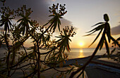 Sunset at Sorrento. Campania, Italy