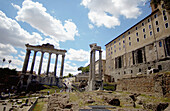 Comuns in Roman forum, Rome. Lazio, Italy