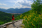young woman on hiking trail above Valle di Era, view to Mandello, Somana and lake Comer See, gorse in foreground, Como, Lombardy, Italy