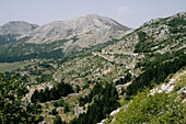 Lovcen National Park bei Centinje, Montenegro