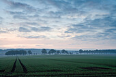 Fields in the morning near Beberbeck, Hofgeismar, Hesse, Germay