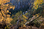 Felsen und herbstlicher Wald, Sächsische Schweiz, Elbsandsteingebirge, Sachsen, Deutschland, Europa