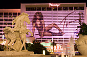 Flamingo Hotel and Casino in Las Vegas, Las Vegas, Nevada, USA