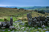 Europa, England, Devon, Im Dartmoor