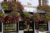 Europe, England, East Sussex, Pub The Cricketers in Brighton