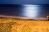 Moonlight reflection, Beach at Eastbourne, East Sussex, England, Europe