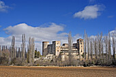 Castle of Castilnovo (14th-15th Centuries), Perorrubio. Segovia province, Castilla-León. Spain