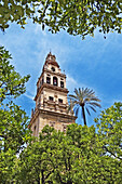 Patio de los Naranjos, courtyard and minaret tower of the Great Mosque. Córdoba. Spain