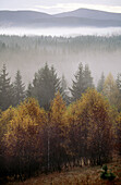 Autumn near Srni in the Bohemian Forest. Wooded Mountains with pine forest. National Park Sumava. Czech Republic.