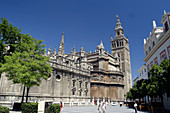 Giralda tower and cathedral, Sevilla. Andalusia, Spain