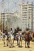 Horse fair in Jerez. Cadiz province. Spain.