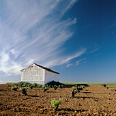 Ciudad Real. Castilla La Mancha. Spain.