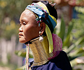 Giraffe  woman. Myanmar