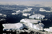 Aerial view of Icebergs and melting pack ice, Disko Bay, Greenland