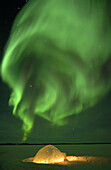 Northern lights (Aurora borealis) in winter, Nord West territories, Canada