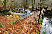 Bridge over small river in Autumn