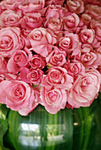 Pink roses in vase, close-up