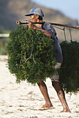 Man carrying seaweeds, Asia