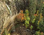 Sierra Ancha Wilderness. Arizona, USA.