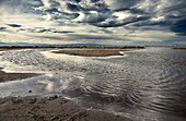 Alfacs Bay. Ebro Delta National Park. Spain.