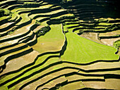 northern Philippines amazing rice terraces, near Banaue, Luzon.