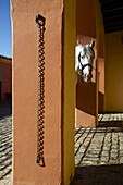 Horse in stable. Sevilla, Andalusia, Spain.