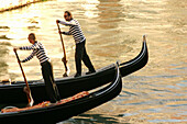 Gondoliers. Gran Canal. Venice. Italy