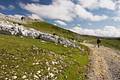 Walking. Lizarraga. Navarra. Spain.