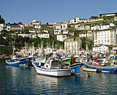 Fishing port. Luarca, Concejo de Valdés, Asturias, Spain