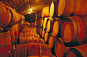 Wine cellar. Burgundy. France