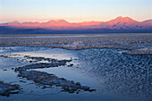 Laguna Chaxa, Salar de Atacama, Atacama Desert, Chile