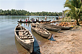 Backwaters. Kerala, India