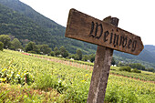 Signpost at vineyard, Weissenkirchen, Lower Austria, Austria