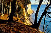 Europe, Germany, Mecklenburg-Western Pommerania, Rügen, chalk cliffs at Jasmund National Park