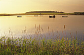 Boats in Having bay, Rugen island, Mecklenburg-Western Pomerania, Germany