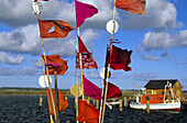 Fishing boats near Gager, Rugen island, Mecklenburg-Western Pomerania, Germany