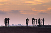 Europe, Germany, Mecklenburg-Western Pomerania, isle of Rügen, landscape near Fernlüttkevitz