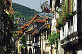 Zunftzeichen an Fachwerkhäusern, Neustadt an der Weinstrasse, Rheinland-Pfalz, Deutschland