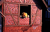 Europa, Deutschland, Hessen, Rotenburg an der Fulda, Fachwerkhaus mit einen Teddybären, der aus dem Fenster guckt