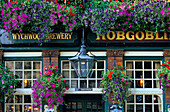 Europe, England, Oxfordshire, Oxford, Pub Hobgoblin