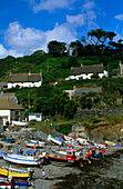 Europa, England, Cornwall, Hafen in Cadgwith