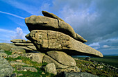 Europe, Great Britain, England, Cornwall, Bodminmoor, Stowe's Hill