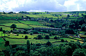 Europa, Grossbritannien, England, West Yorkshire, near Luddenden Foot