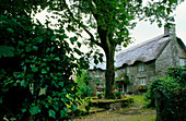 Europa, England, Devon, Dartmoor, Buckland-in-the-Moor, Cottage