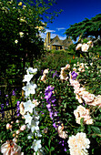 Europe, England, Gloucestershire, Cotswolds, Chipping Campden, Hidcote Manor Garden