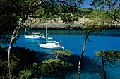 Europe, Spain, Majorca, Cala Mondrago, sailing boats